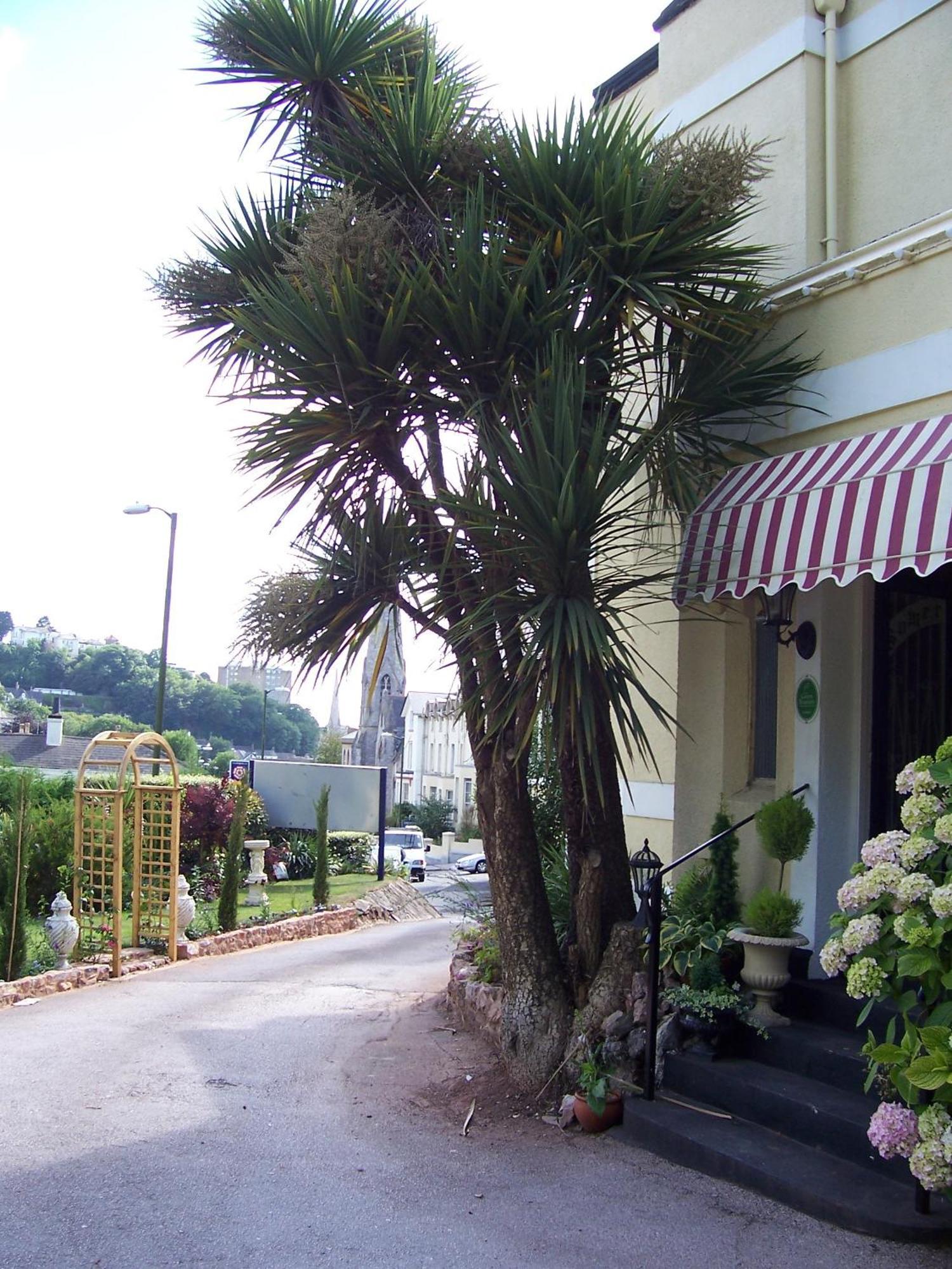 The Somerville Torquay Exteriör bild